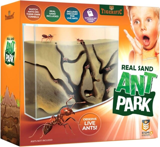 Ant Farm for Live Ants - Real Sand Ant Colony Kit for Kids -Fun Science Habitat Set for Children, Watch Ants Dig Tunnels, Carry Sand, Hide and Drag Their Food for gifts for siblings to share