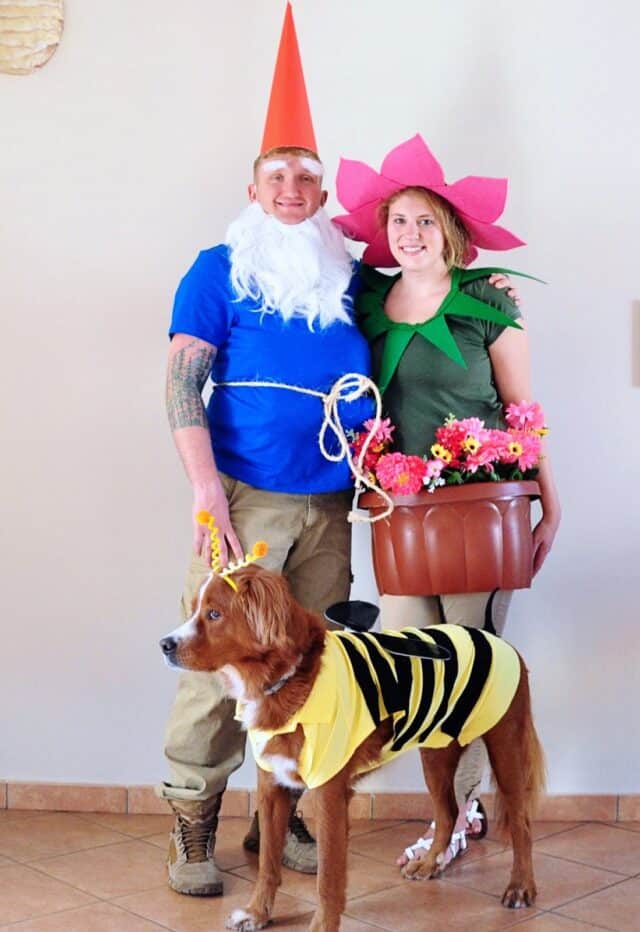 Garden Gnome, Flower, Bee Costume