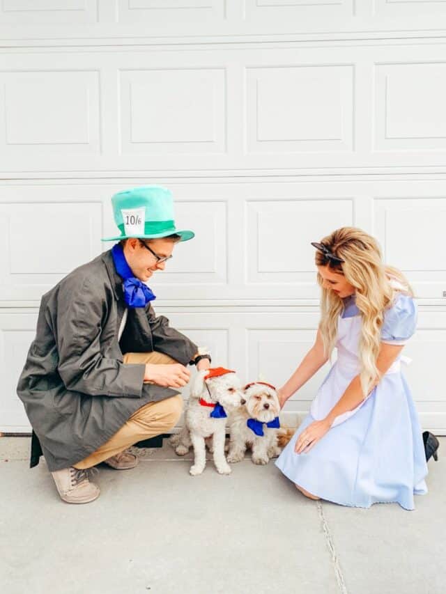 Alice in Wonderland Costume