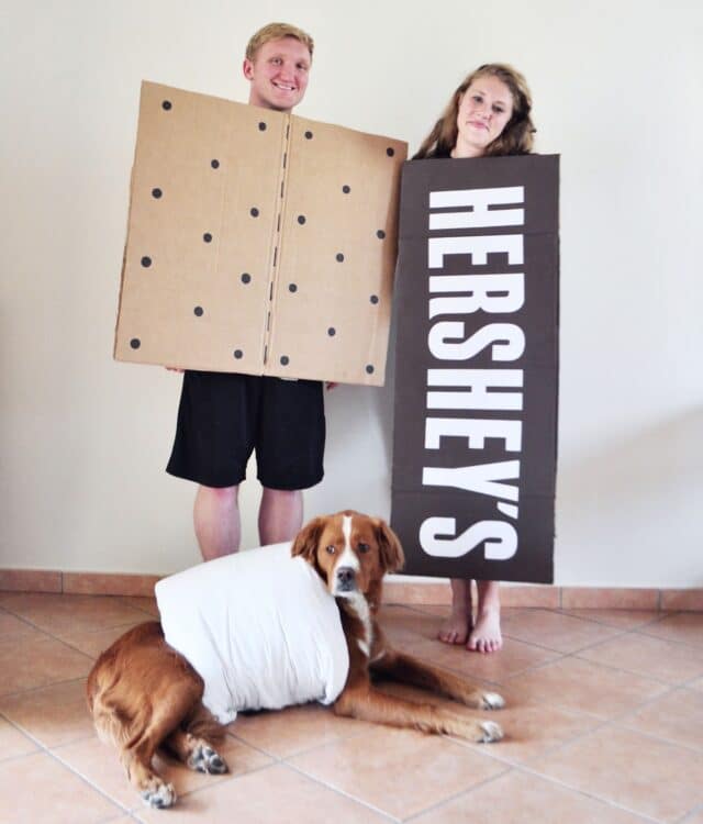 S'mores Halloween Costume with Dog
