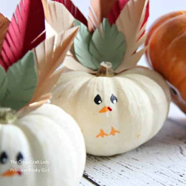 Turkey Mini Pumpkins