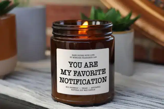 You are my Favorite Notification Scented Soy Candle, Long Distance Couple Gift, Valentine's Gift, Anniversary Gift, Christmas Gift