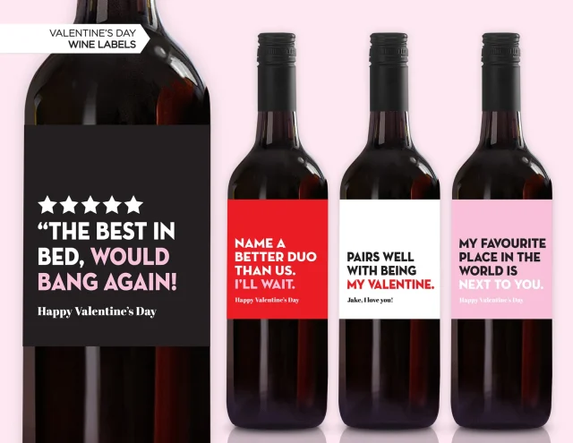 Valentine's Day Wine Labels | Valentine's Day Gift | Funny Valentine's Labels | Pairs Well With Being My Valentine | Naughty Valentine