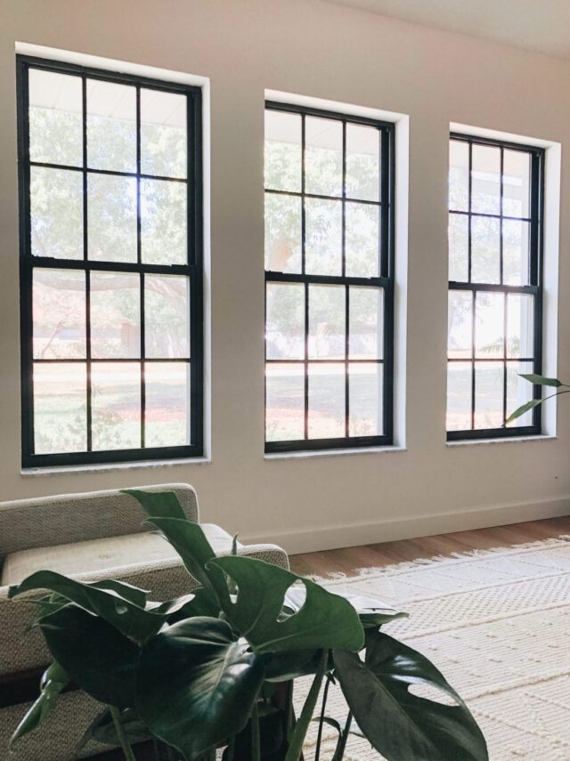 Modern Farmhouse Black Window Trim Ideas