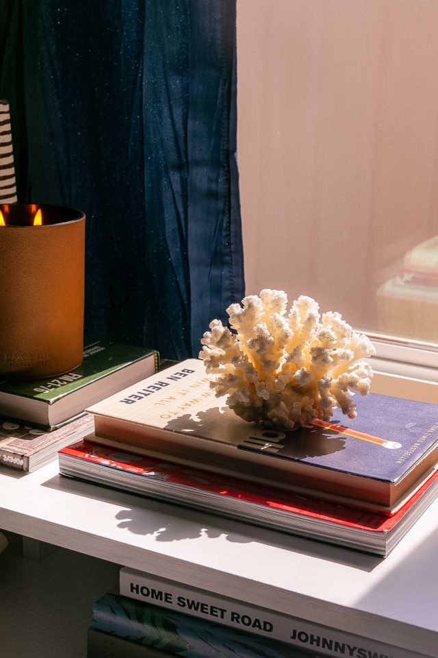 a coral reef decor to make an office desk from Novogratz feel less like a desk