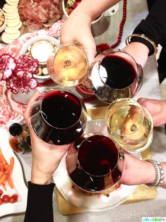 Wine Pairing Party for adult birthday party ideas