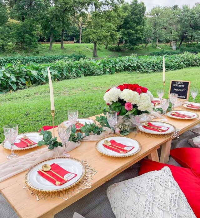 Park Picnic for Adult Birthday Party Ideas