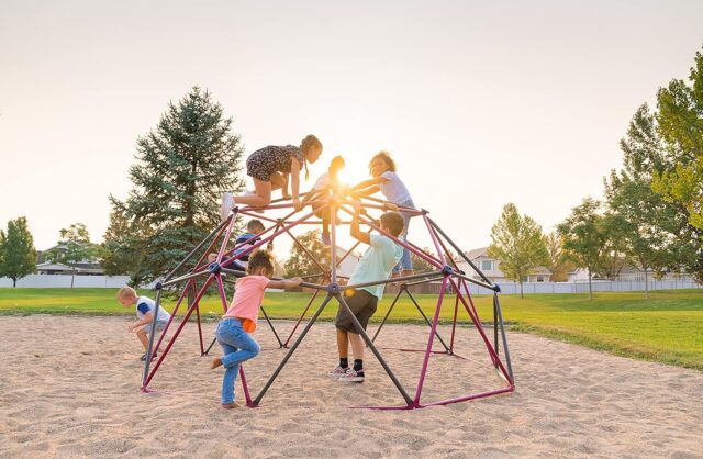 Lifetime Geometric Dome Climber Play Center, Earthtone Lifetime Geometric Dome Climber Play Center, Earthtone