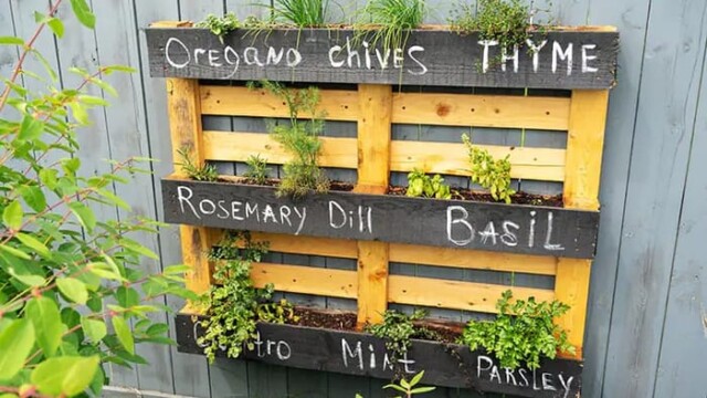 How to Make a Pallet Garden Bed in 5 Easy Steps