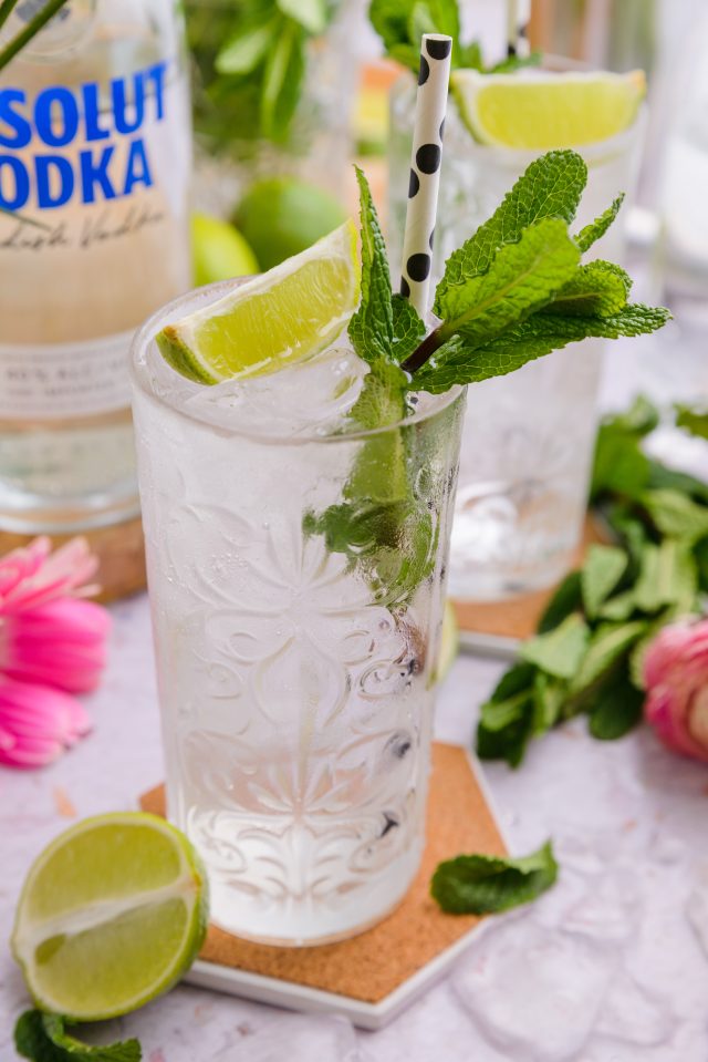 Vodka Press Recipe for s Summer Party Drink Idea