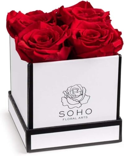 Soho Floral Arts | Roses in A Box | Genuine Roses that Last for Years (White Square 4ct, Red) | Mothers Day Gifts