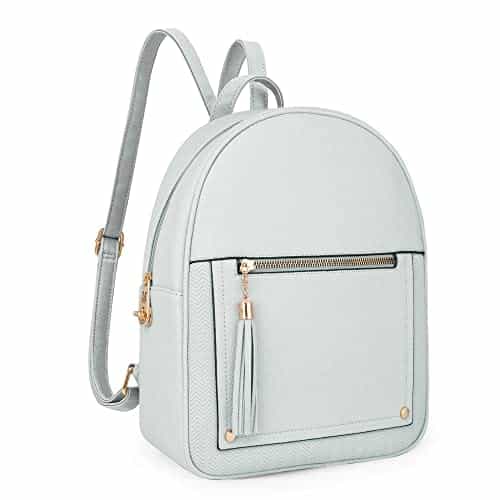Montana West Anti Theft Mini Backpack Purse for Women Backpack for Ladies with Secured Zipper & Tassel, MWC-104GY