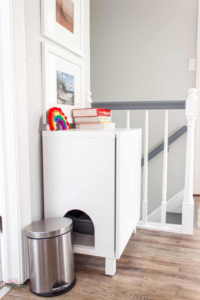 How to Make a DIY Hidden Litter Box from an IKEA Cabinet with an Ikea Besta