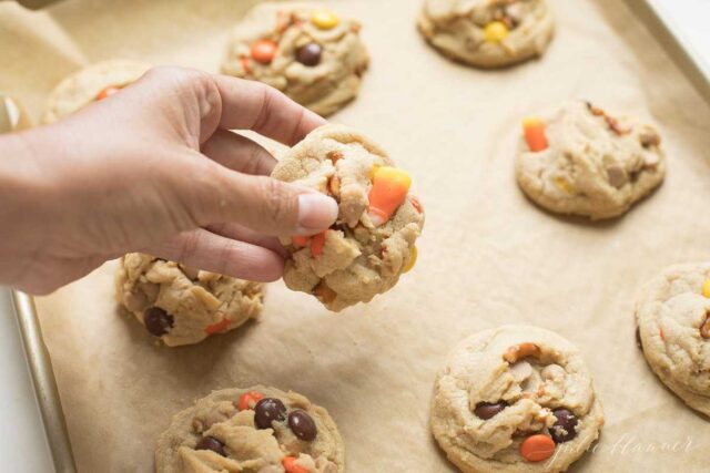 Monster Mash Cookies for halloween dessert recipes