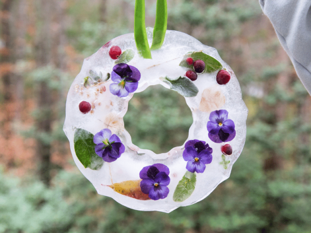 DIY Nature Ice Wreath