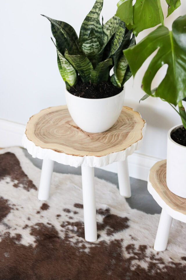 DIY Plant Stand from Wood Slice