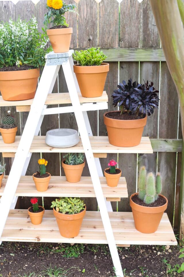 DIY Tiered Ladder Garden