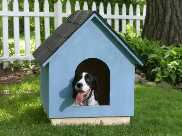 DIY Doghouse: How to Build a Simple A-Frame