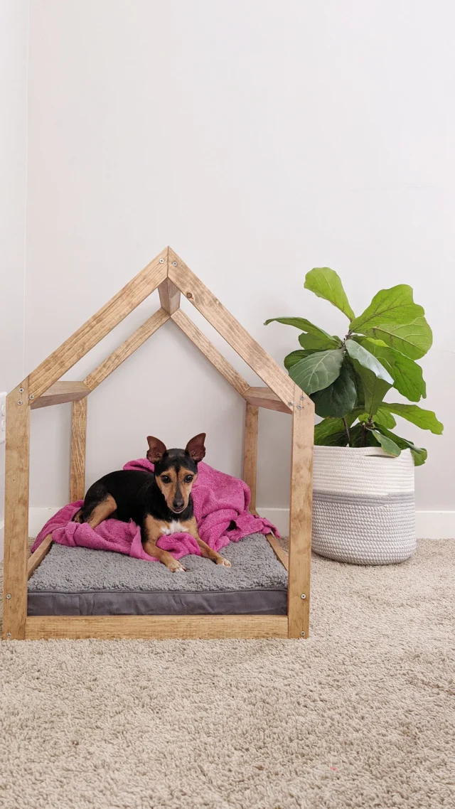 DIY Modern Dog House with Building Guide