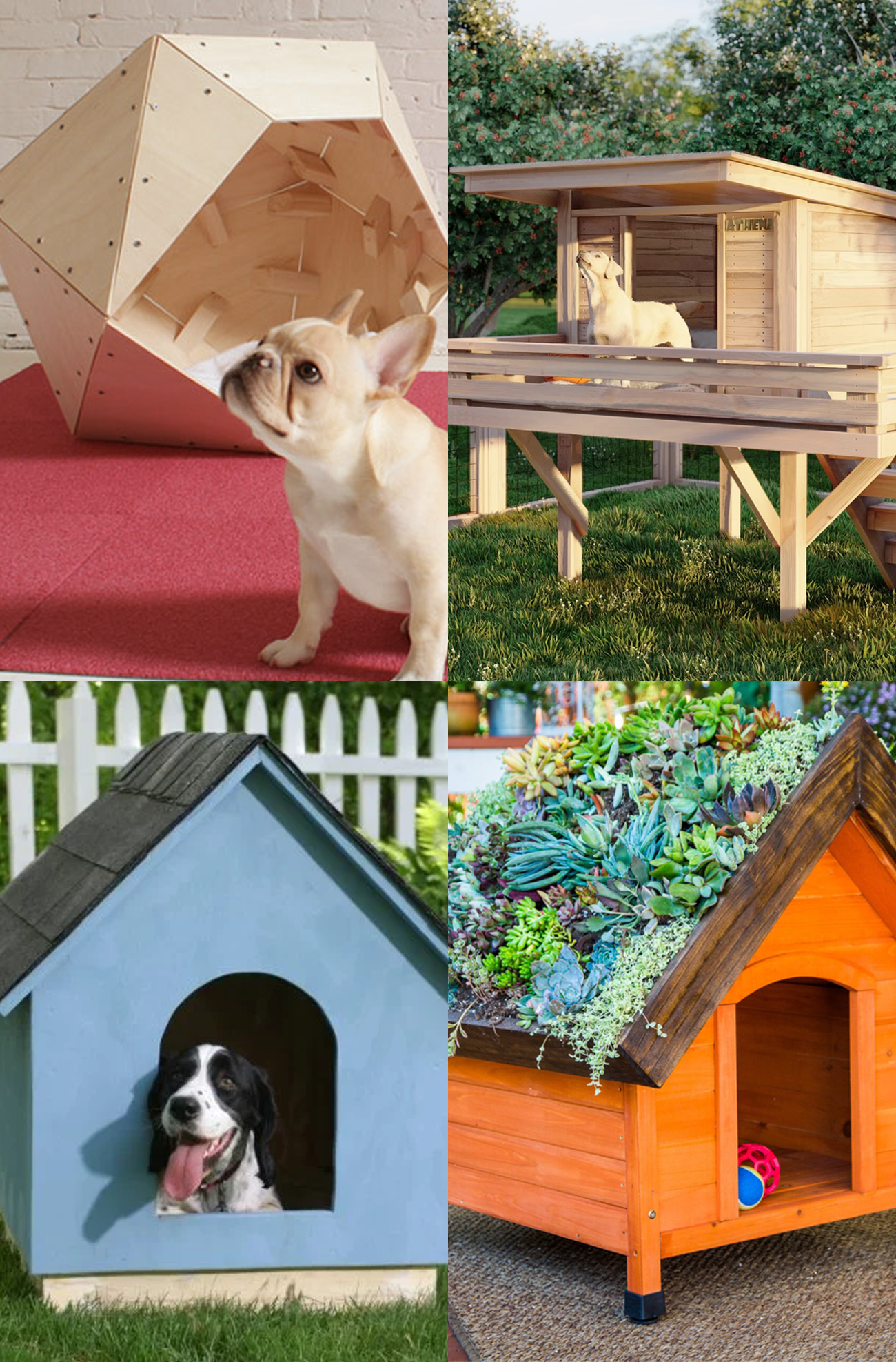 DIY Dog House