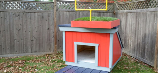 Football DIY Dog House