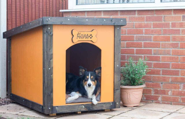 Plywood Dog House with Removable Roof
