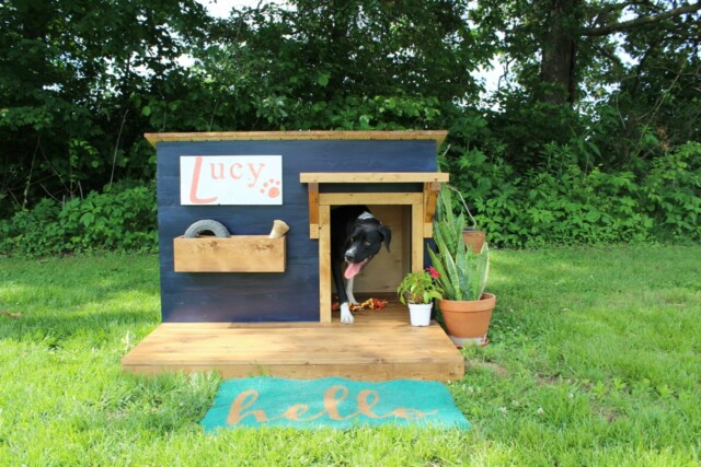 Dog House with Deck
