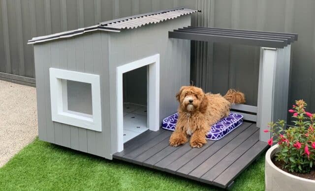Bungalow Dog House for DIY dog houses