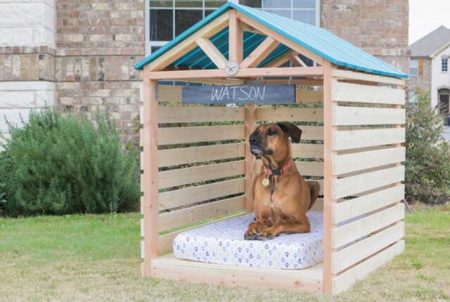 doghouse gazebo