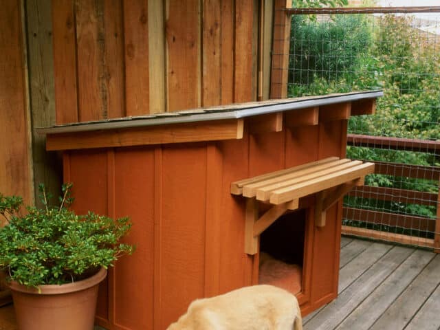Mini Ranch House for DIY dog houses