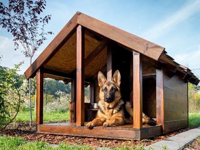 How To Build A Pallet Dog House