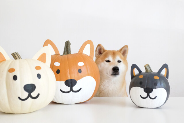 DIY painted shiba pumpkins for painted pumpkin ideas
