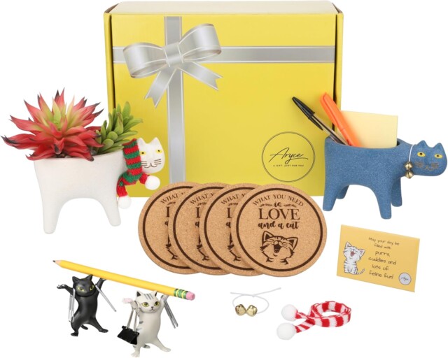 Cat Themed Gift Box