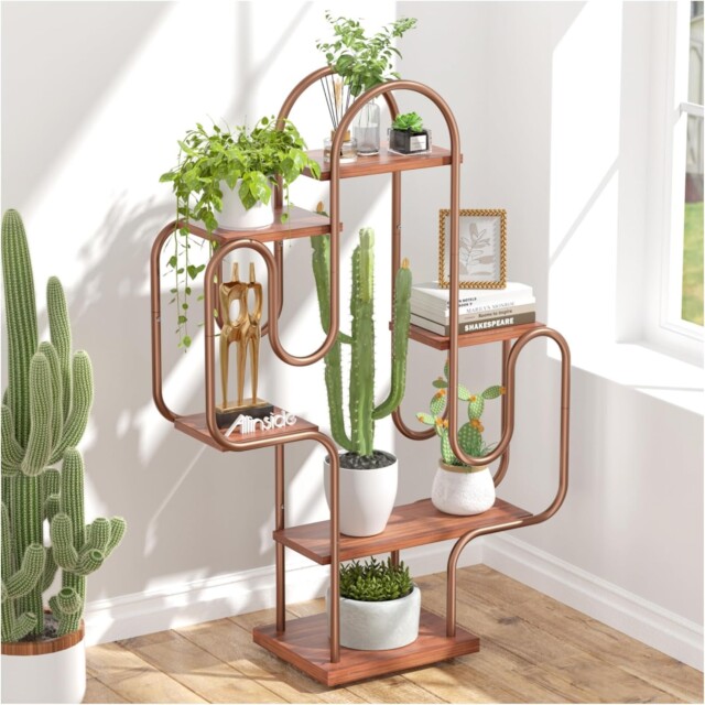 Amazon Cactus Corner Plant Stand