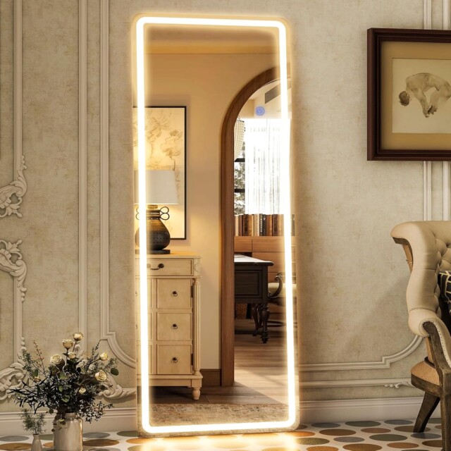 Lighted Full Body Mirror for bedroom