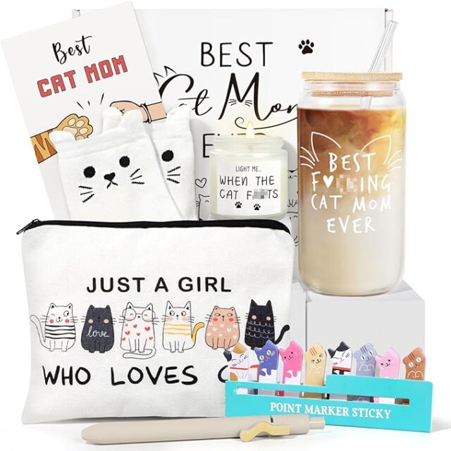 Cat Theme Gift Box