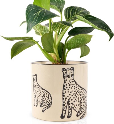 Ceramic Plant Pots with Drainage 