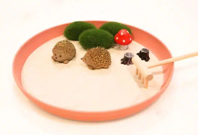 Hedgehog Mini Zen Garden for cute desk accessories 