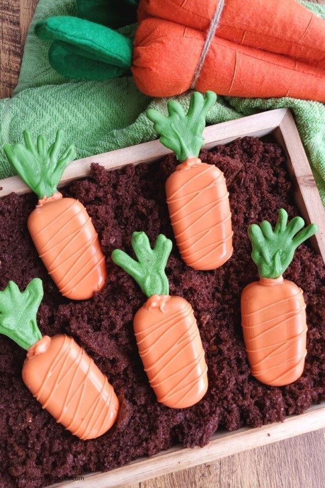 Carrot Patch Easter Treats