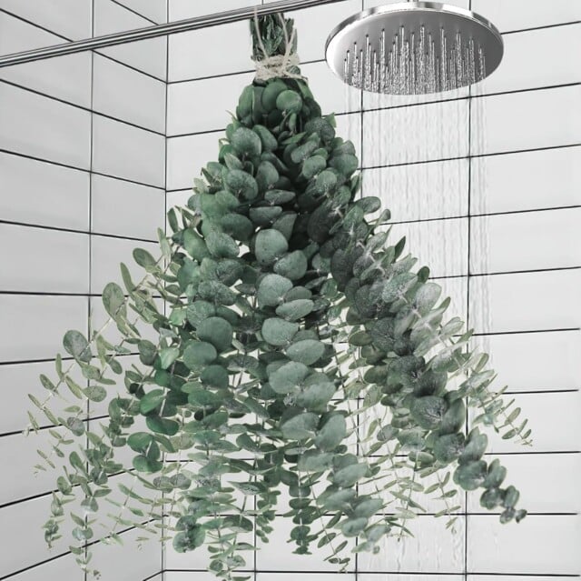 Dried Eucalyptus Stems for shower for amazon bathroom decor