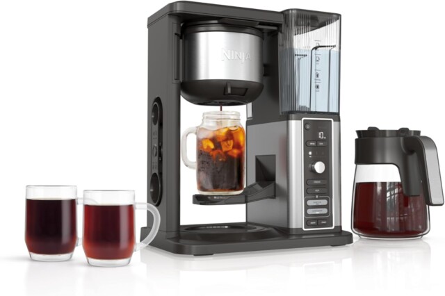 Ninja Hot & Iced XL Coffee Maker with Rapid Cold Brew, 4 Brew Styles, 8 Sizes Small Cup to Travel Mug, Single-Serve Coffee Brewer