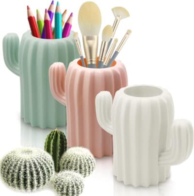 Cactus Holder Pack for gifts under $10